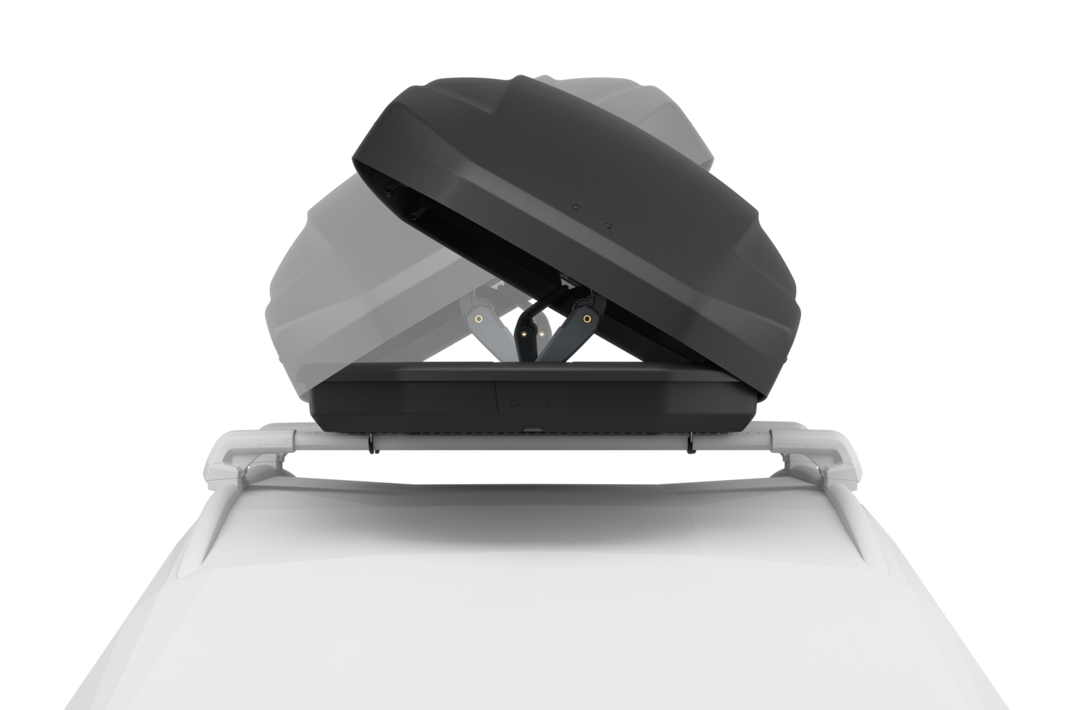 Thule Pulse 2 L 6107