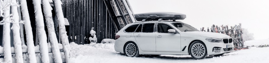 Thule Motion XT Alpine